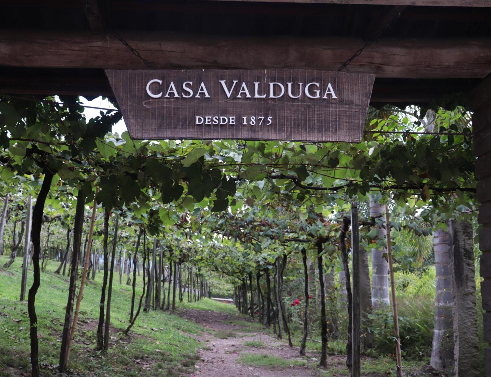 Casa Valduga Pousada Boutique Bento Goncalves Bagian luar foto